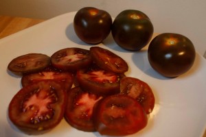 Brown Tomatoes