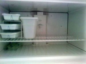 Empty Freezer
